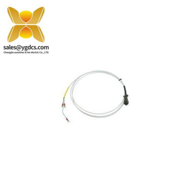 BENTLY 132419-01 工業(yè)振動(dòng)監(jiān)測(cè)傳感器模塊