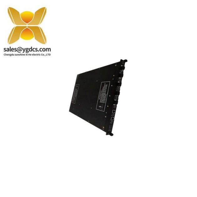 TRICONEX 4000163-510 數(shù)字信號(hào)處理模塊